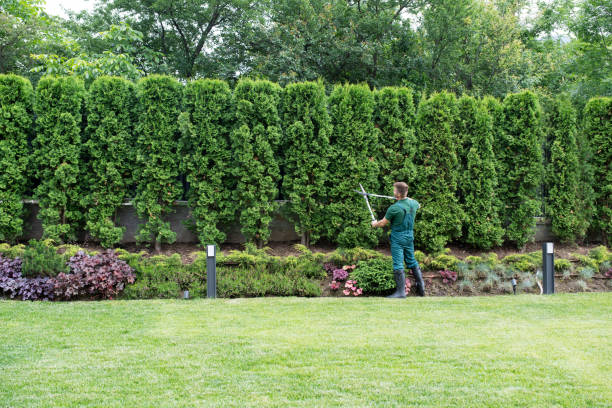 Best Organic Lawn Care Solutions  in Shrewsbury, PA